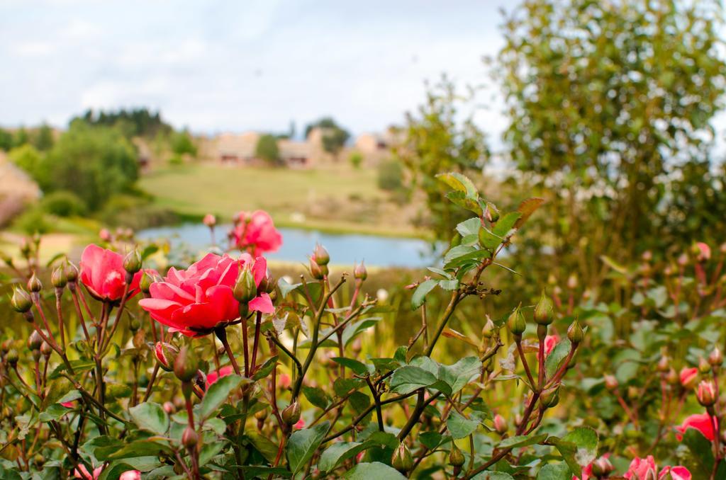 Отель Gooderson Kloppenheim Country Estate Machadodorp Экстерьер фото